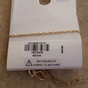 Express Jewelry - Express Necklace Express Jewelry - Express Necklace